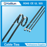 PVC Covered Ss Self-Lock Cable Belting for Tied up Wires