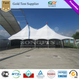 Hot Sale Cheap Steel Peg and Pole Tent