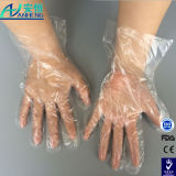 Plant Supply Disposable Transparent PE Gloves with FDA, CE