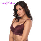 E Cup Wine Red Lace Comfortable Very Sexy Push up Bra