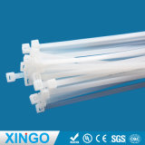 China Nylon Cable Ties Competive Price