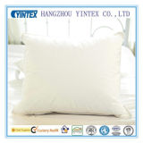 Wholesale Home Decor Pillow/Decorative Cushion Insert/Blush Pillow