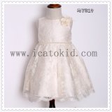 Party Wear Wedding Dress Embroidery Dress for Party Dress