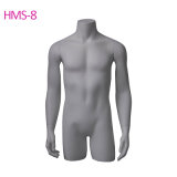 Top Body Headless Male Mannequin for Underwear Display with Hands