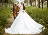 off Shoulder Bridal Wedding Gown Bridal Dresses (TJBLCT006)