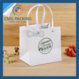 Rivet Handle Paper Bag with Plastic Handle (CMG-MAY-042)