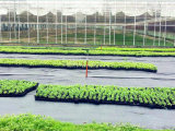 1m-4m Greenhouse Ground Cover Fabric with 80GSM-120GSM