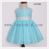Baby Girl's Kids Princess Casual Party Dress Appliqued Children Party Dress
