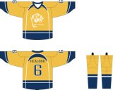 Healong Customized Sportswear Sublimation Printing Reversible Hockey Jersey