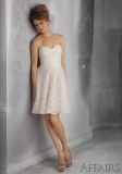 Discount Lace Bridesmaid Fashion Dresses (FD14006)
