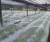 100% New HDPE Agricultural Bird Netting or Greenhouse Insect Proof Net
