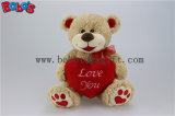 Valentine Teddy Bears with Red Heart Pillow and Embroidery Paw