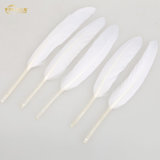 Wholesale Bulk Washed Duck Feather for Pillow Duvet Use