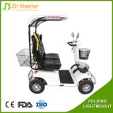 Outdoor 2 Passengers Sport Golf Cart Motorized Electric Scooter with Awning