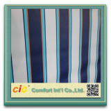 PVC Coated Polyester Awning Fabric Waterproof Strip Fabric