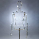 New Fashion Clear Half Female Mannequins for Outdoor Sports Wear Display (GSF-001/2/3/4UB-E1)