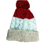2018 Fashion Ladies Crochet Hat (JRK204)