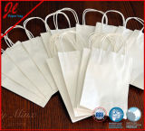 Biodegradable Kraft Paper Bags