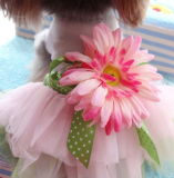 Lovely Pet Clothing Pet Dress with Flower
