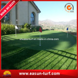 Artificial Golf Putting Green Carpet