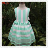 Tiffanly Green Orangza Tulle Dress Casual Children Clothing for Party Dress