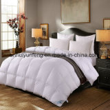 Super Warm Luxury Hotel 100% Cotton Goose Down Comforter