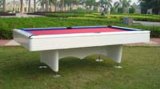 Outdoor Billiard Table (OTB-005)