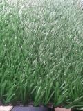 Best Price for Good Quality decoration Artificial Grass Carpet