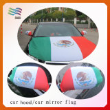 Custom Printed Car Mirror Cover and Car Hood Cover for Mexico