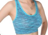 Hot Selling Dri Fit Polyester Sports Yoga Women Vest