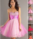 Short Strapless Prom Dress Ball Dresses, Party Dresses (PAD0027)