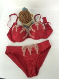 Classic New Design Push up Bra and Panty for Ladies (FPY441)
