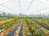 PP Woven Weed Stop Membrane Fabric with 70GSM-120GSM