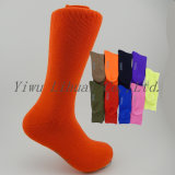 High Quality Hot Selling Women Bamboo Terry Sports Crew Socks