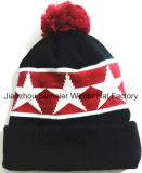 Samples Free of Charge, More Color Mixed Woven Embroidery Beanie Knitted Cap