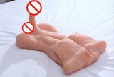Realistic Sex Dolls Realistic Muscle Men Full Body with Anal Lifelike Sex Doll for Woman Female Masturbator Silicone Sex Doll Female Sex Toy