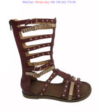 Gladiator Zipper Back Strappy Sandals Shoes