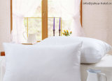 White /Cotton /Hotel Use /Pillow & Pillow Case