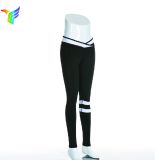 OEM Custom Yoga Leggings Wholesale Lady Sport Cothes