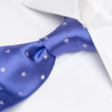 Men's High Quality 100% Woven Silk Tie (1209-07)