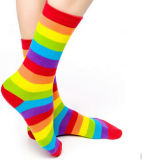 Custom Good Quality Rainbow Design Cotton Women Socks Happy Socks