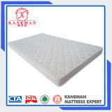 Alibaba Wholesale Shengfang Bunk Bed Mattress High Quality Promise Single Soft Mattress