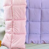 Quilted Polyester Comorters and Pillows
