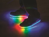 LED Shoes/Party Shoes/Light up Shoes with Nice Quality