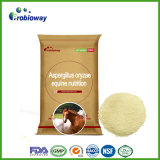 Antibacterial Sports Horse Aspergillus Niger Equine Animal Feed Supplement