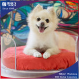 Animal Bedding Acrylic for Pet Bed and Accessories Pet Portraits