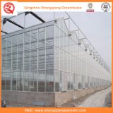 Agriculture/Commercial PC Sheet Tent with Cooling System