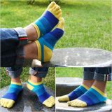 Using Color Stitching Novel for Sport Five Sock