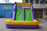Summer Time Outdoor Inflatable Water Slide for Children