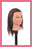 Wholesale 100% Human Hair Training Head 12inches for Beauty School